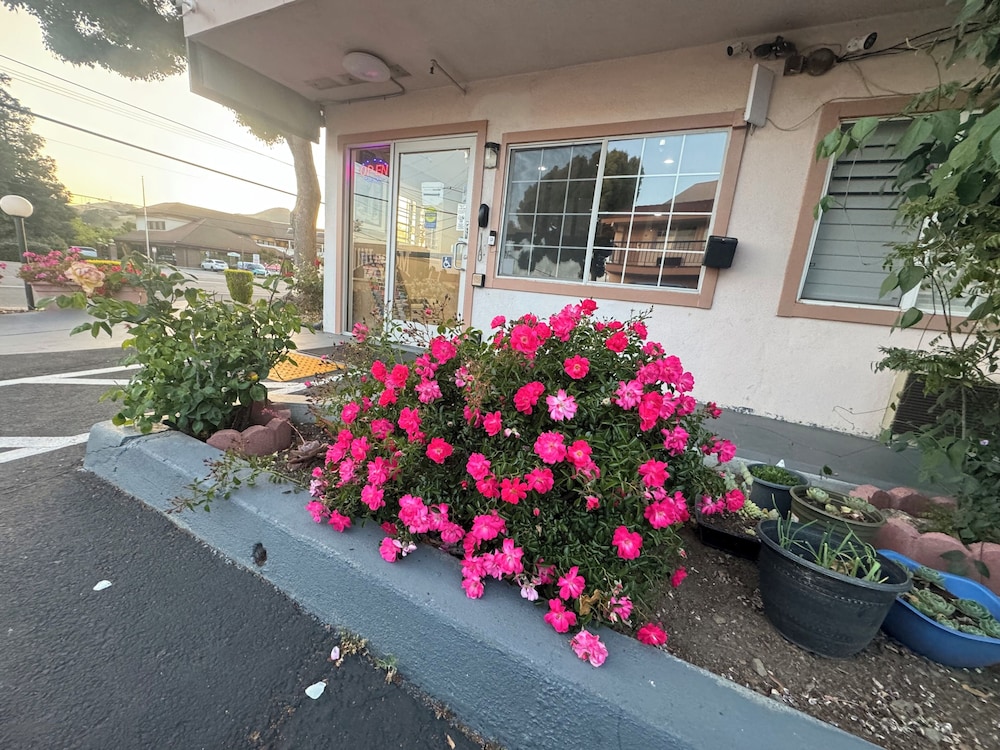 Morganhill Inn Motel - photo 15