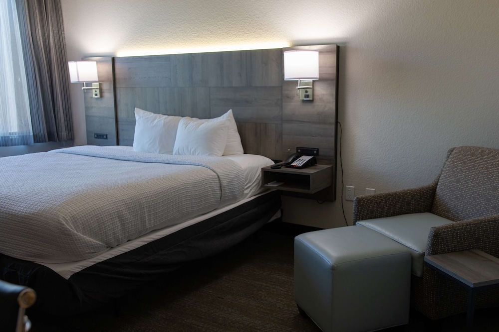 Best Western Plus Executive Residency Phoenix North Happy Valley - photo 24