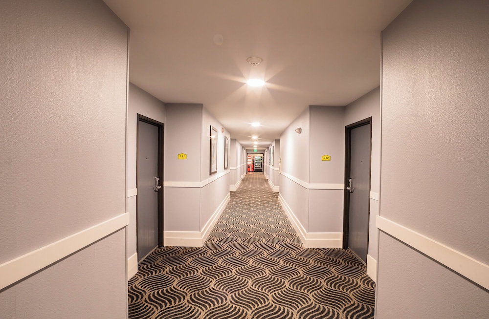 Hotel Mira Vista - photo 29