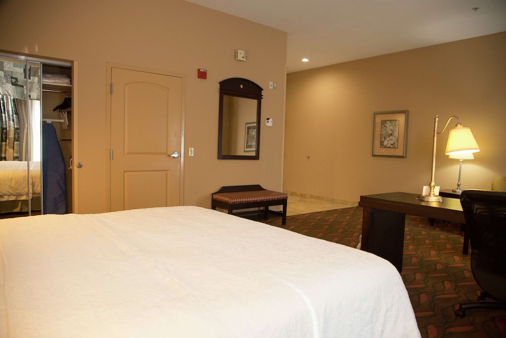 Hampton Inn & Suites Houston Rosenberg - photo 10