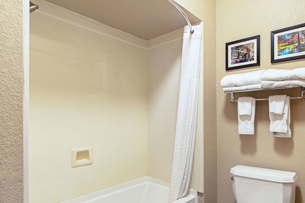 Comfort Inn and Suites Fredericksburg - photo 17