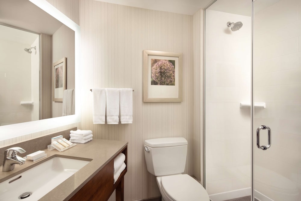 Hilton Garden Inn Long Island City New York - photo 27