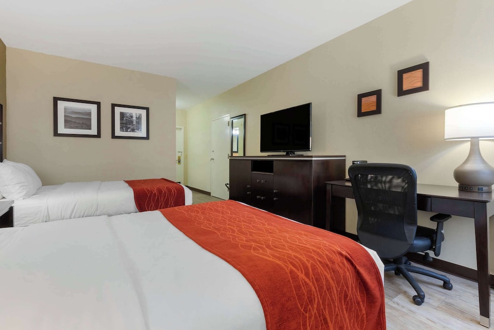 Comfort Inn North of Asheville - photo 32