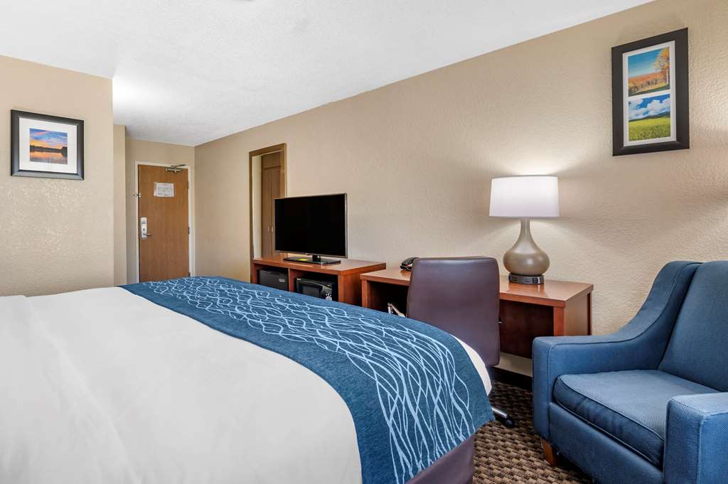 Comfort Inn Near Kokomo Speedway - photo 28