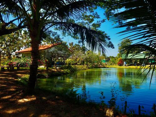 Tea Tree House in Chiang Mai — 4-Star Luxury Hotel in Chiang Mai, Thailand