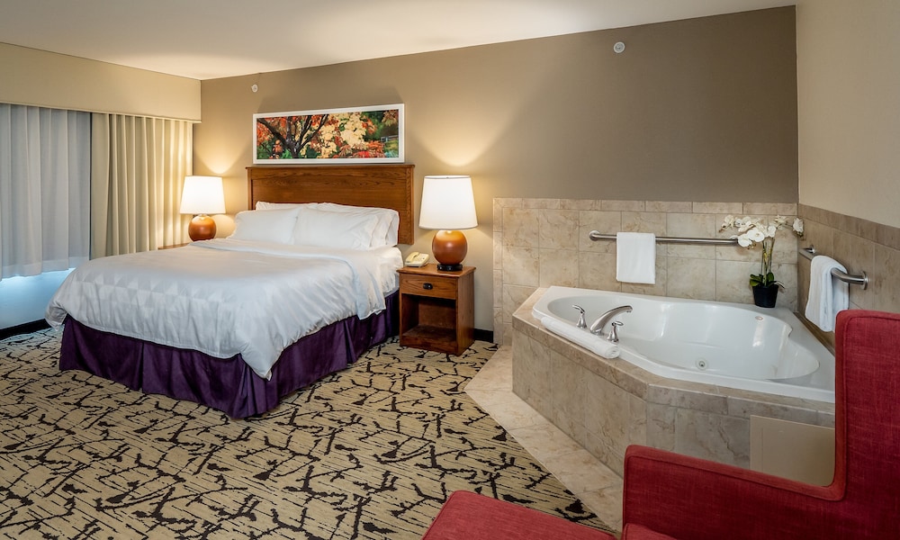Holiday Inn Stevens Point Convention Ctr by IHG - photo 11