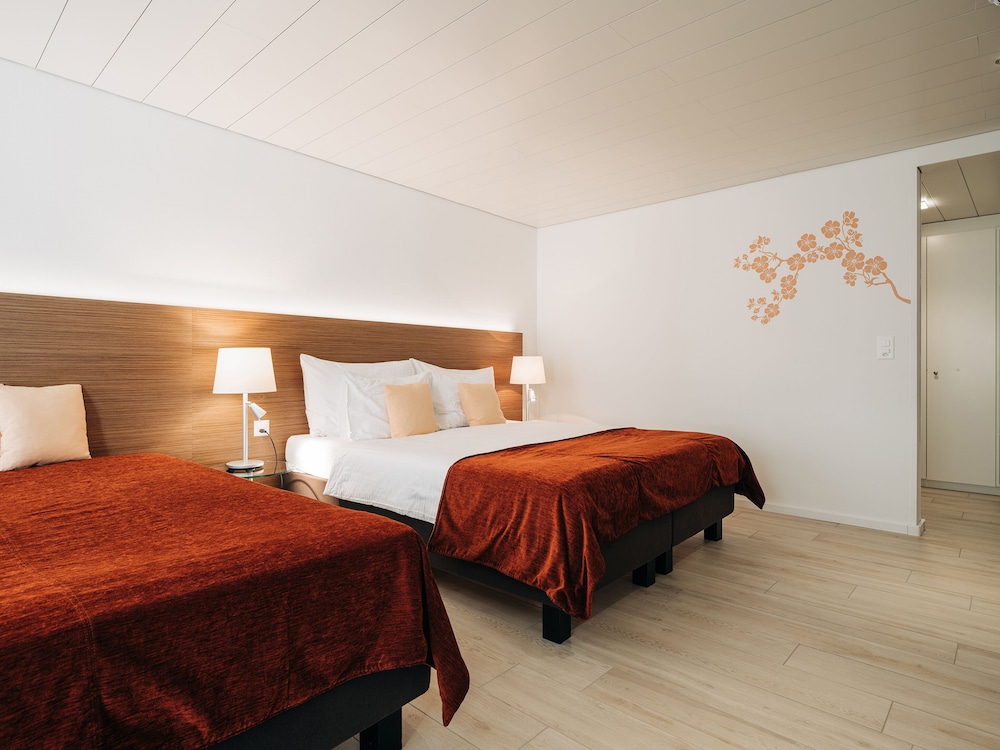 Hotel Krone — Thun — photo 5