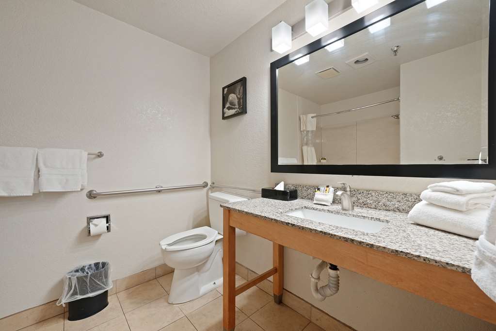 Best Western Plus Executive Inn & Suites - photo 44