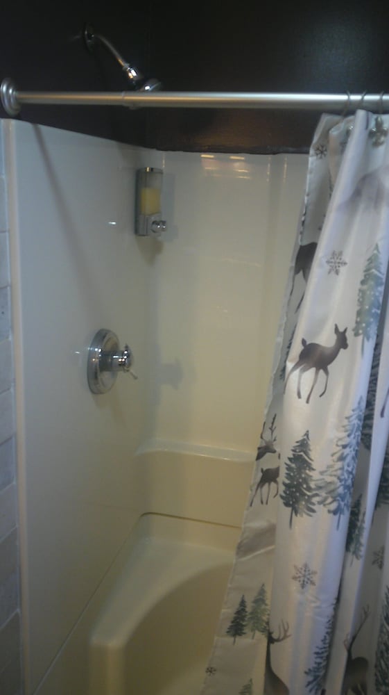 Lil Black Bear Inn - photo 81