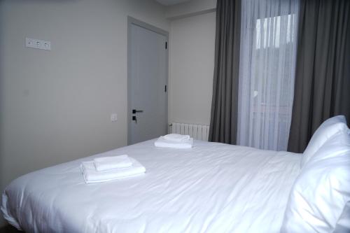 Eikon Apartments Abastumani