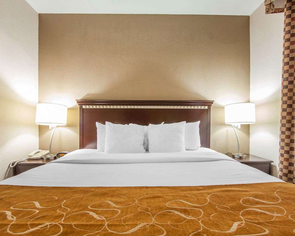 Comfort Suites London South - photo 28