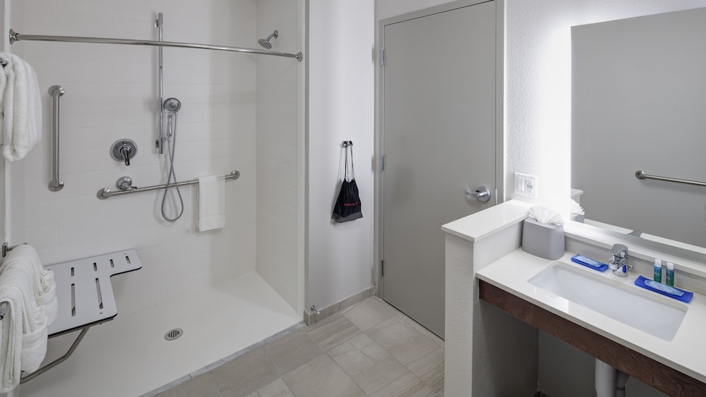 Holiday Inn Express & Suites Orlando at SeaWorld by IHG - photo 30