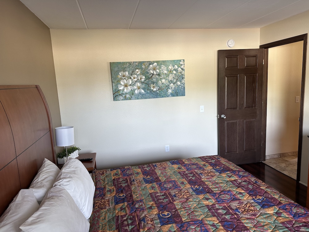 All Star Inn & Suites - photo 219