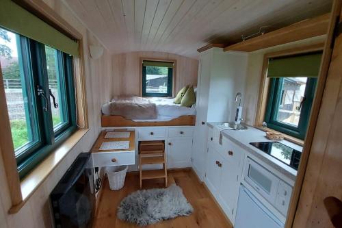 Penelope - last minute hotel in Unknown City