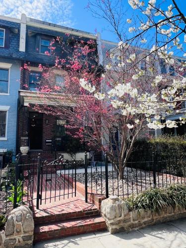 Amma's Place — 4-Star Luxury Hotel in Washington, United States