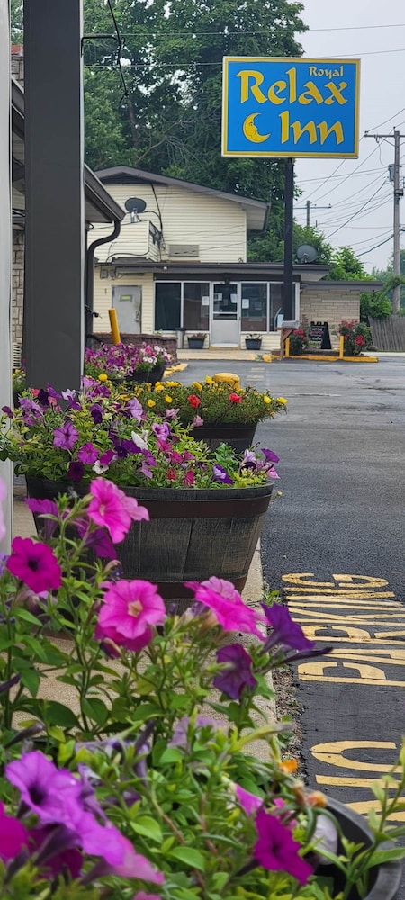 Royal Relax Inn - photo 16