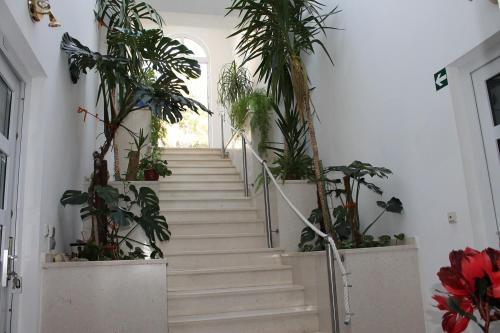 Double Room Stanici 14782a in Omis, Croatia