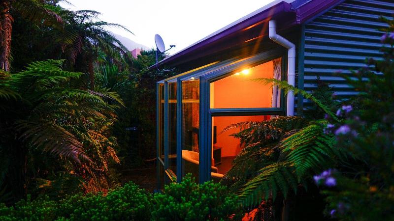 Punga Grove in Greymouth, New Zealand