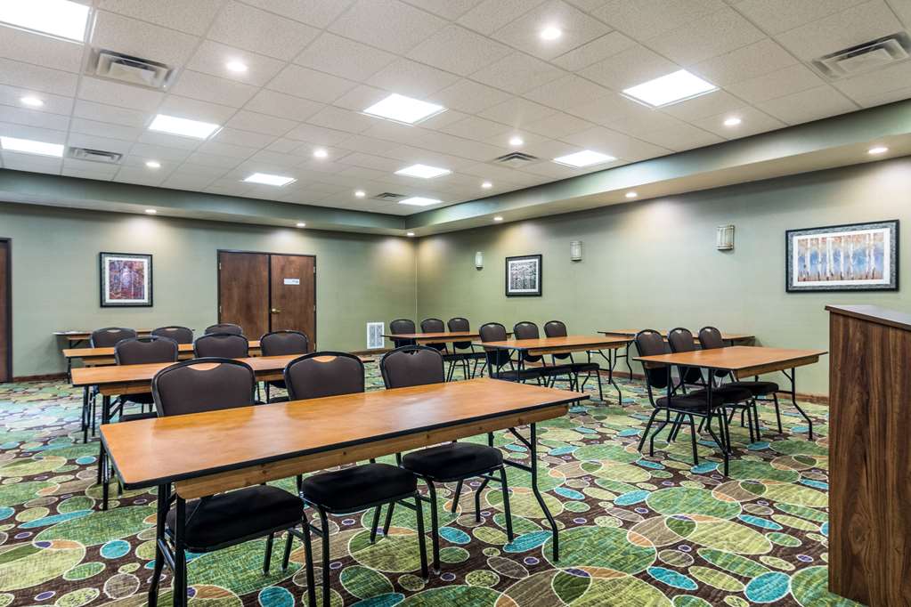 Comfort Inn & Suites Hannibal - photo 33
