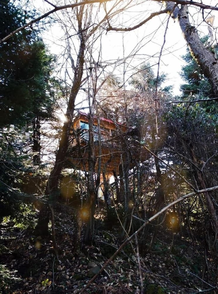 Kedra Village — Makrakomi — photo 5