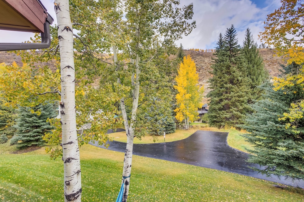 Vail Condo about 4 Mi to Vail Mountain Resort - photo 12