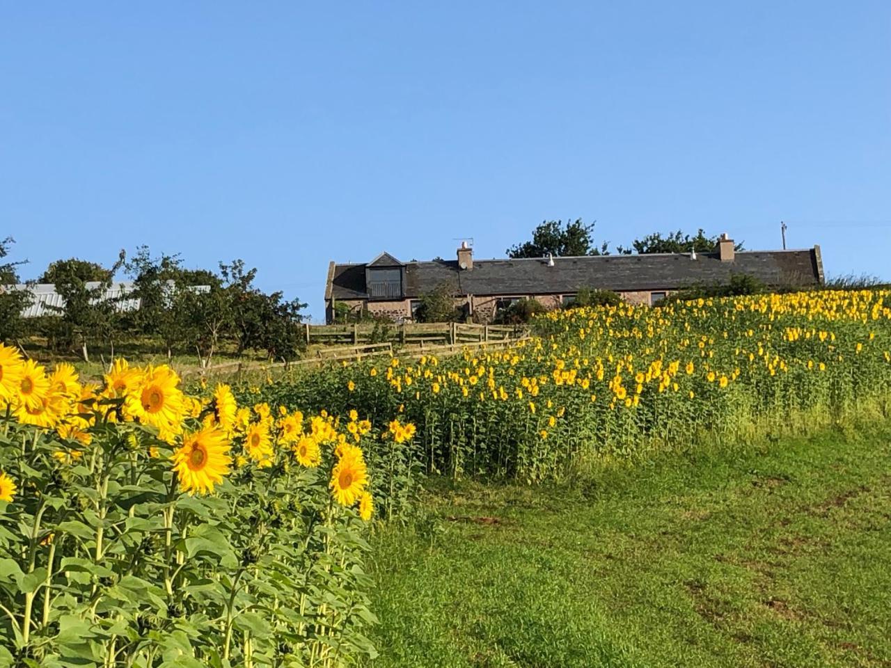 Garden Bank Cottage — 5-Star Luxury Hotel in Kelso, United Kingdom