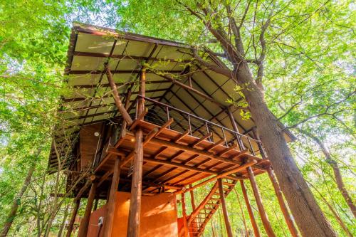 Kaala Kalaththewa Luxury Eco Resort - last minute hotel in Anuradhapura