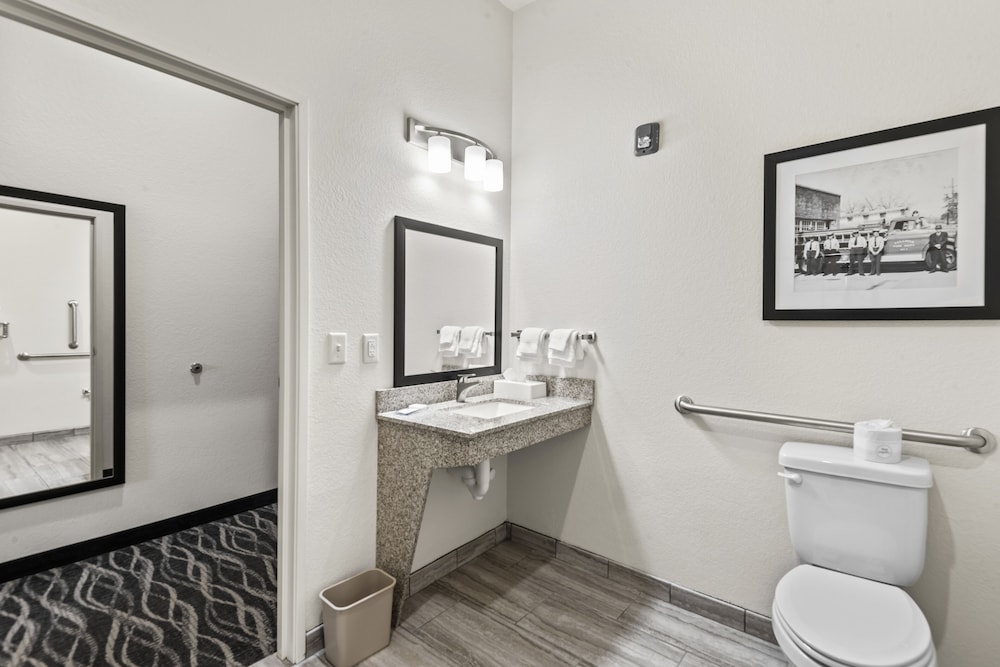 Cobblestone Hotel & Suites Cullman - photo 19