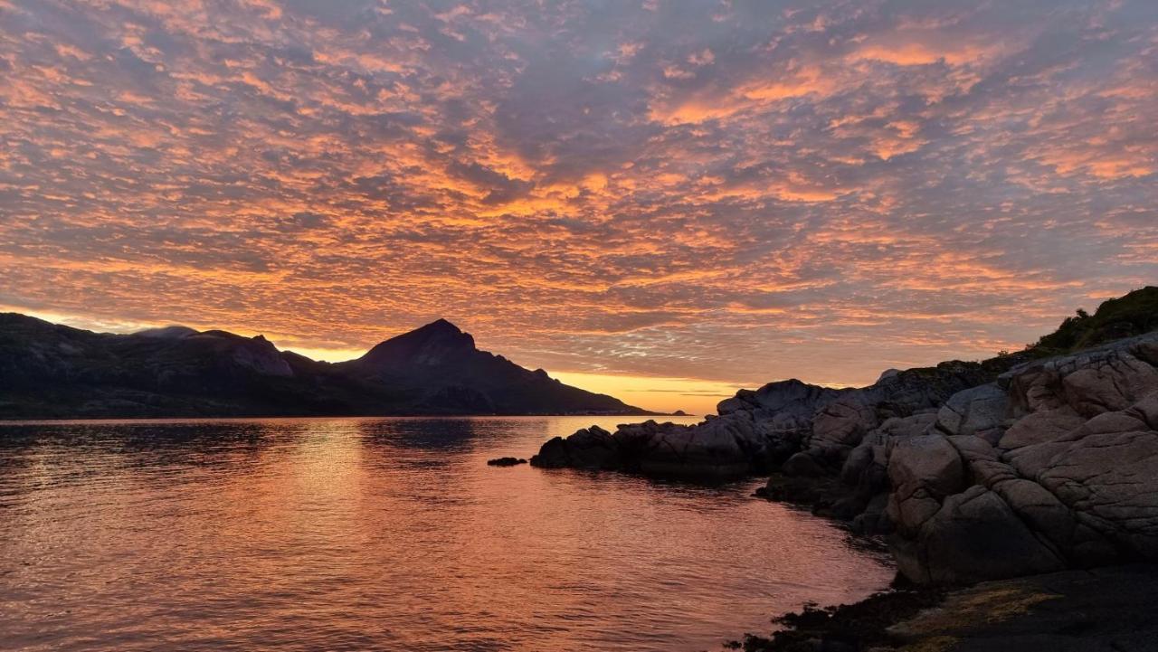 Ocean View Panorama — Gravdal — photo 2