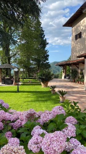 Villa Casavecchia Caselli — Dicomano — photo 4