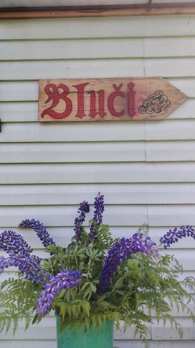 Bluci seksti - last minute hotel in Unknown City