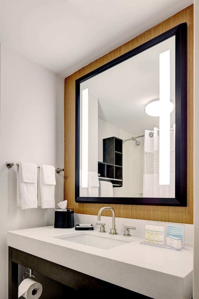 Hampton Inn Brooklyn Downtown - photo 18