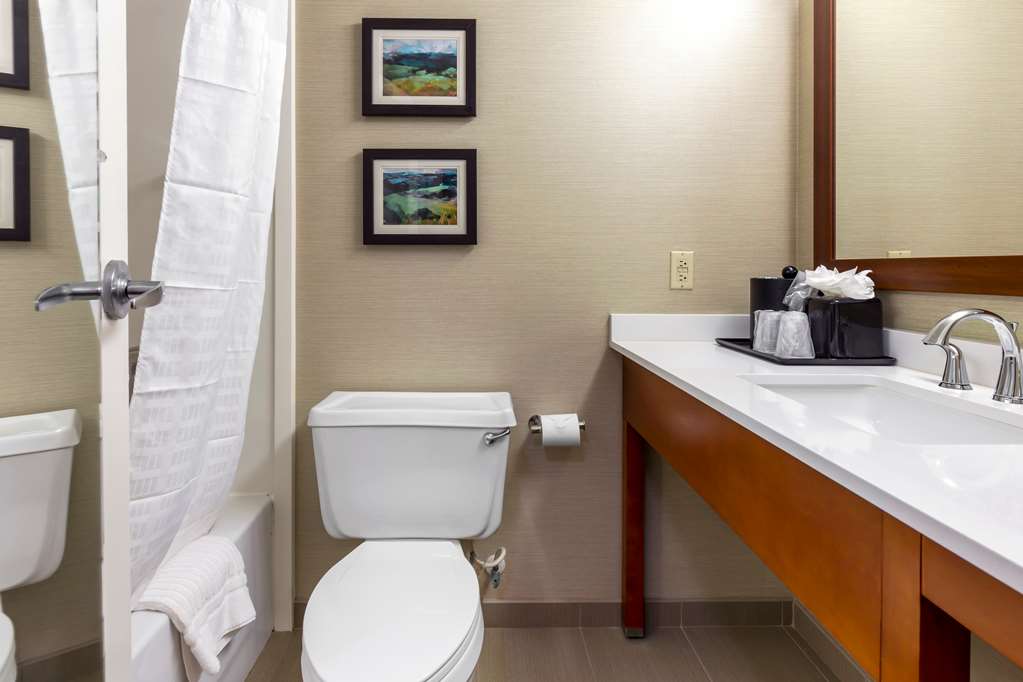 Comfort Inn University Durham Chapel Hill - photo 21