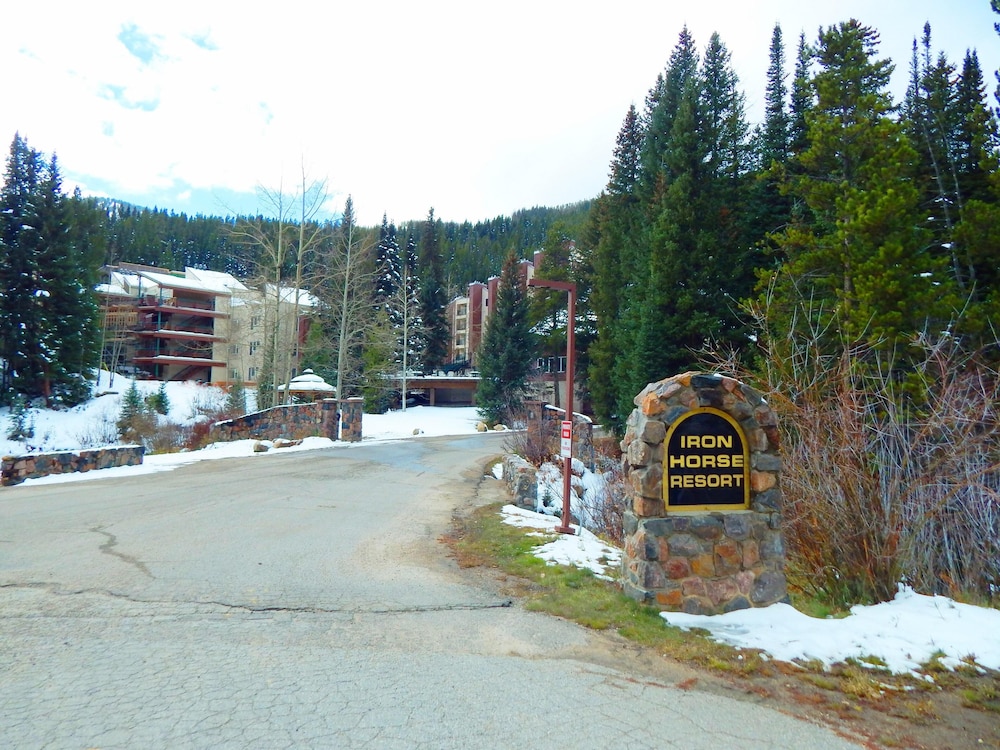 Iron Horse by Stay Winter Park - photo 56