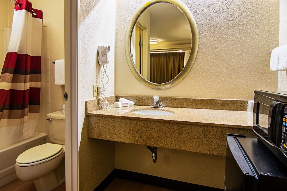 Red Roof Inn Detroit Southfield - photo 9