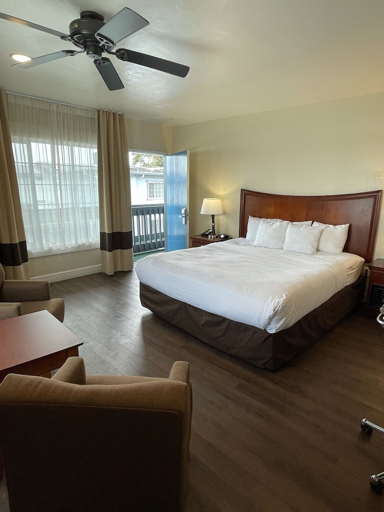 Blu Pacific Hotel - photo 26