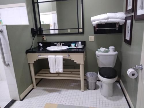 Southern Comfort Suites - photo 6