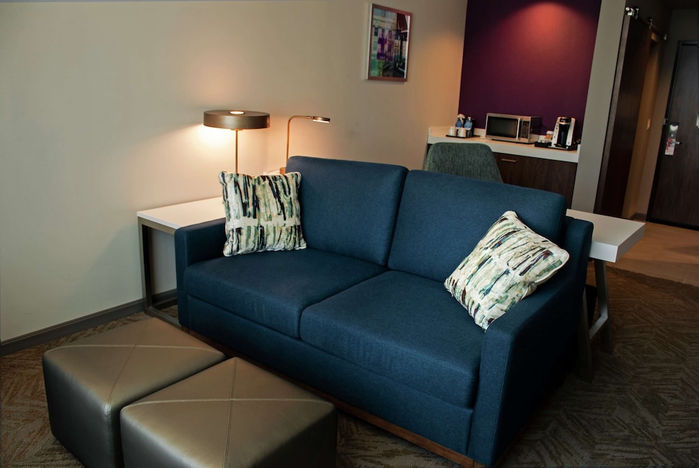 Hilton Garden Inn Dallas at Hurst Conference Center - photo 30