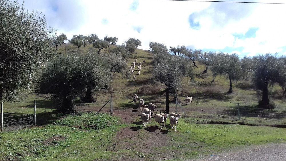 Finca La Carnicera - carbon neutral hotel in Constantina