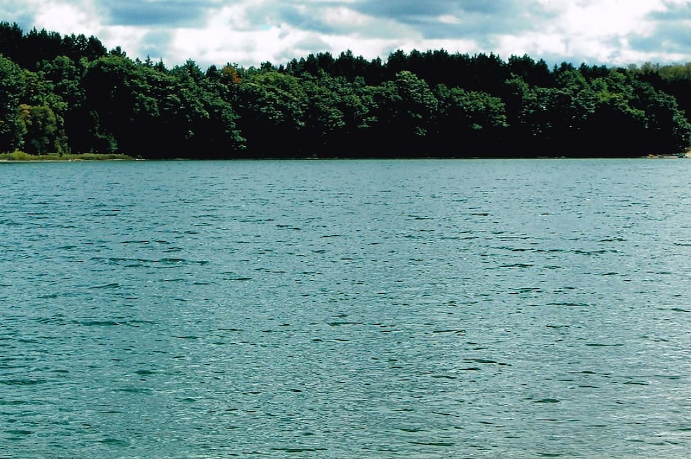 Dixon Lake Resort - photo 36