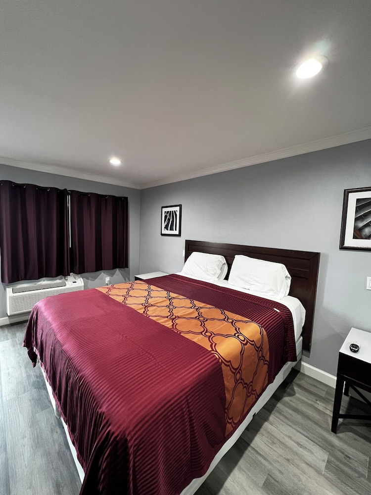 Aqua Inn Motel - photo 15