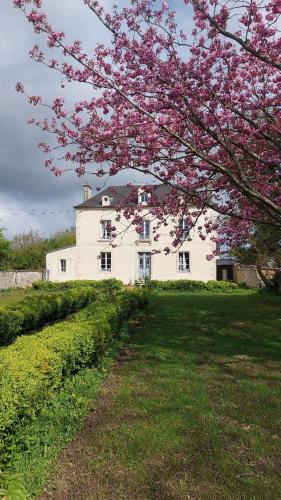 Le Gîte Adelis - last minute hotel in Unknown City