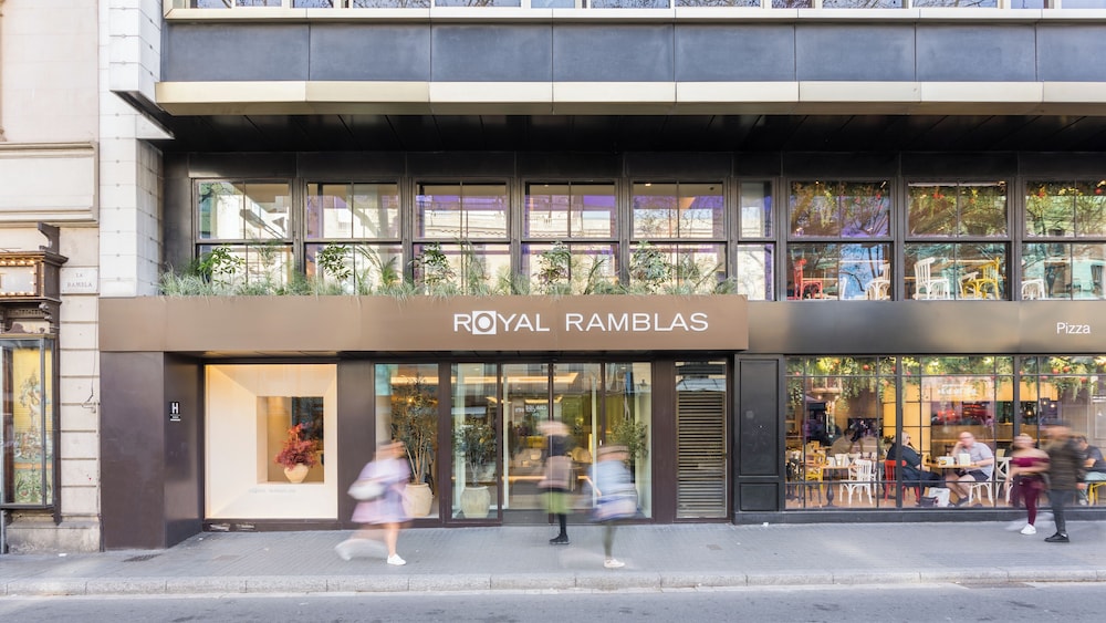 מראה חיצוני