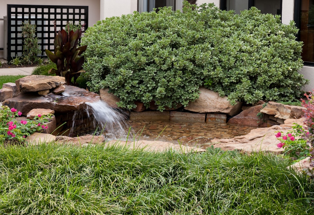 Courtyard by Marriott Waco - photo 44