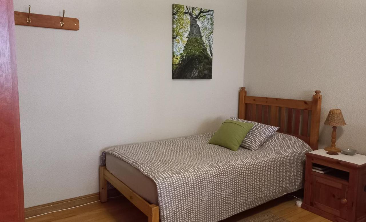 'The Cape Robin' studio apartment