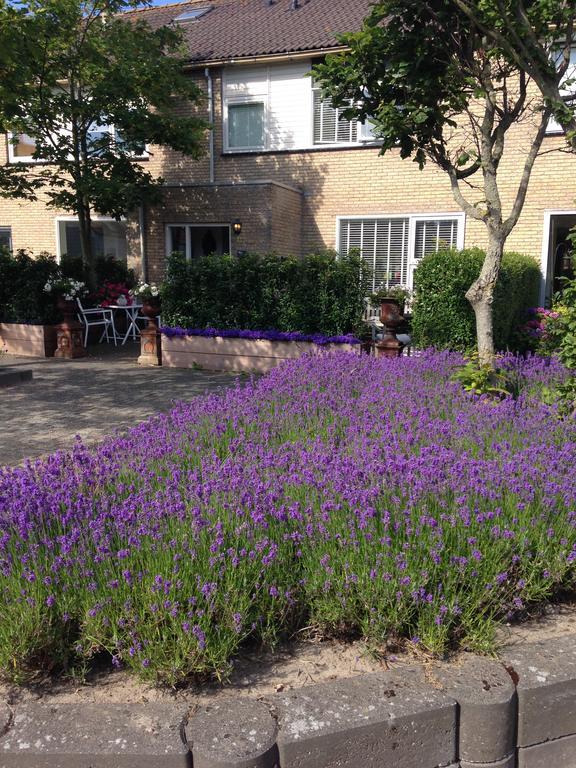 B&B De Koog Texel — 4-Star Luxury Hotel in De Koog, Netherlands