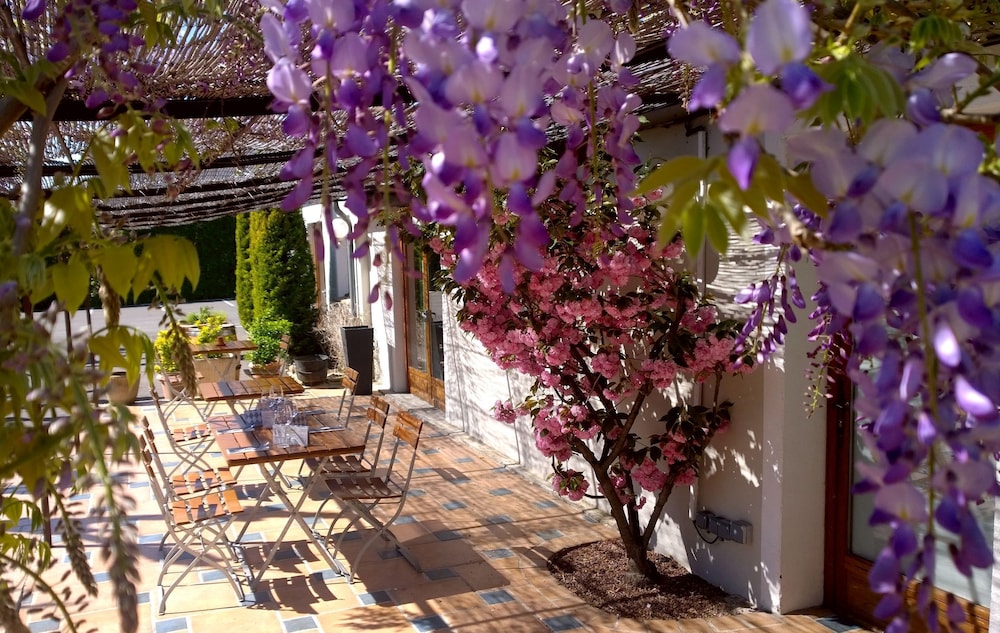Logis Hôtel Le Nouvel pet-friendly hotel Portes-Les-Valence