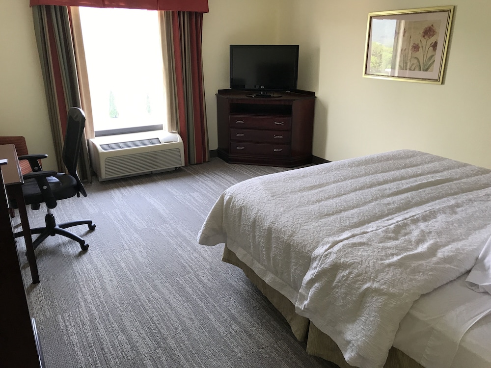 Hampton Inn & Suites Lamar - photo 35