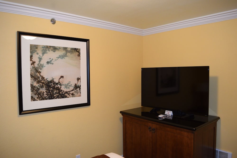 The Royal Victorian Motel - photo 33