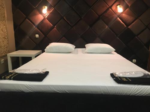 Lion in Saratov, Russia